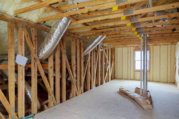 Best Insulation Removal  in Womelsdorf, PA