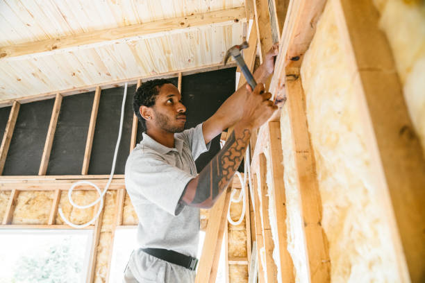 Best Home Insulation Services  in Womelsdorf, PA