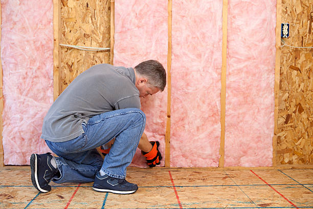 Best Attic Insulation Installation  in Womelsdorf, PA