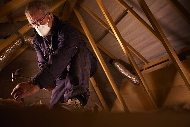 Best Insulation Repair Services  in Womelsdorf, PA