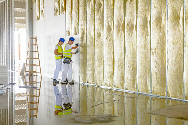 Best Insulation Contractors for Homes  in Womelsdorf, PA